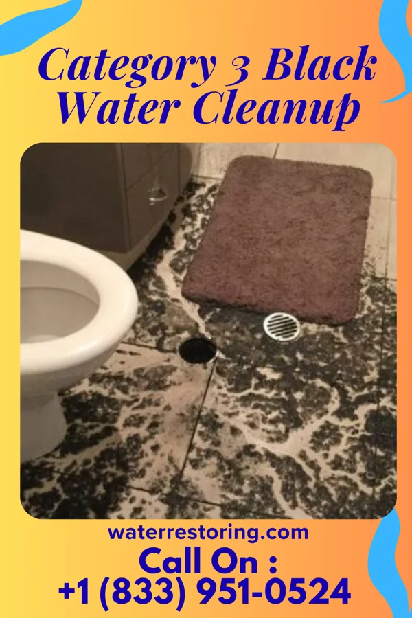 Category 3 Black Water Cleanup in Bowersville, OH