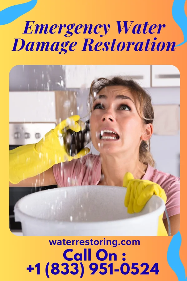 Emergency Water Damage Restoration in Bowersville, OH