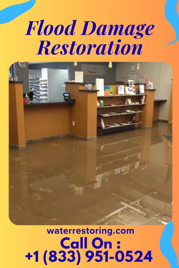 Flood Damage Restoration in Bowersville, OH
