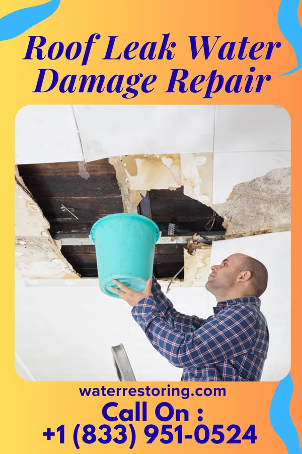 Roof Leak Water Damage Repair in Bowersville, OH